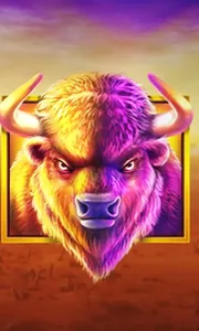 Buffalo King